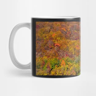 Colorful autumnal landscape Mug